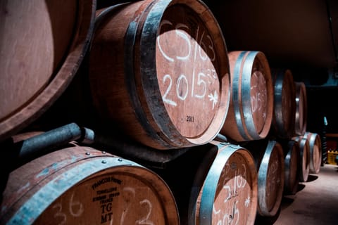 Tilaknagar Industries Launches Mansion House Gold Barrel Whisky: A New Chapter in Premium Spirits