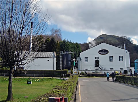 Glengoyne Mizunara Oak: Pricing the Scarcity of Japanese Wood in Scotch