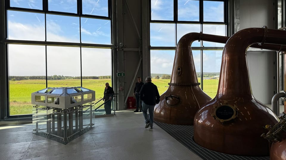 Diageo beats expectations as early signs of turnaround emerge
