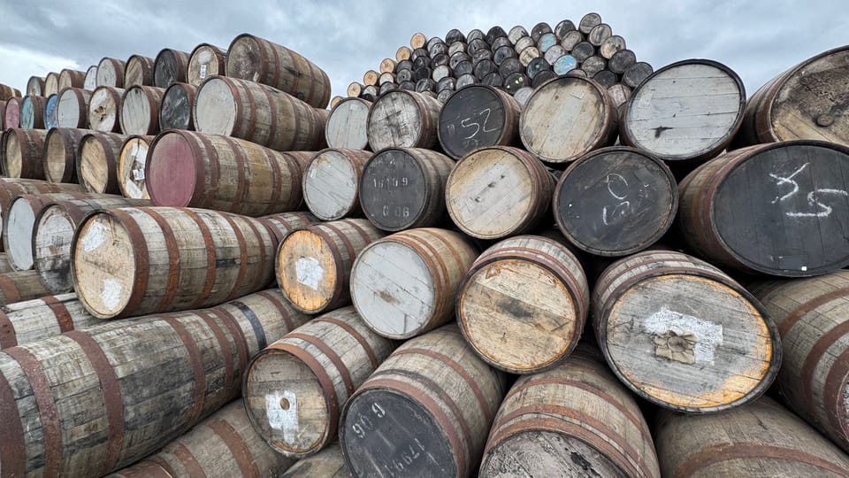 Best Value Single Malt Scotch Whiskies From SFWSC 2026: 5 Double Gold Picks
