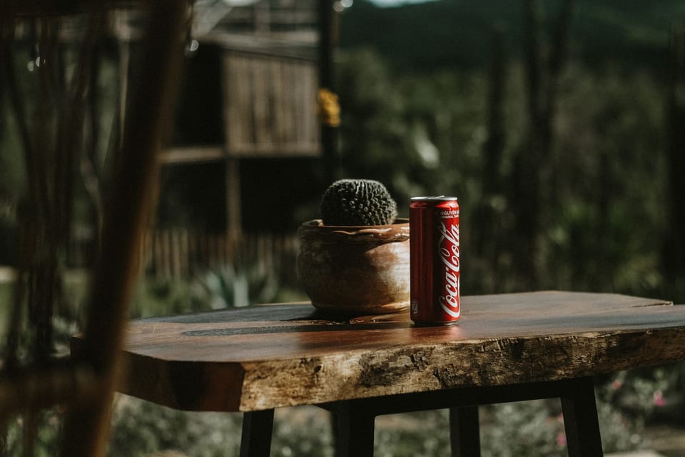 Coca-Cola India Bottler IPO: What It Means for Global Spirits M&A