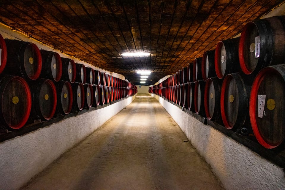 8 Blended Scotch Whiskies Win Spirit Gold at IWSC 2026
